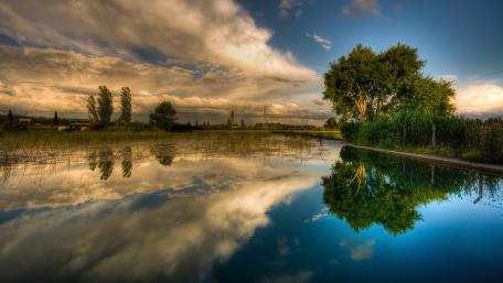 Tranquil Reflections of Nature's Beauty wallpaper