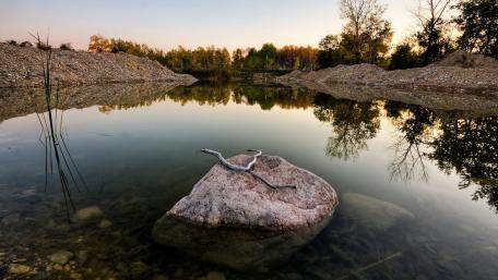 Tranquil Lake Reflection at Dusk wallpaper