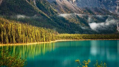 Emerald Lake, Yoho National Park, British Columbia wallpaper