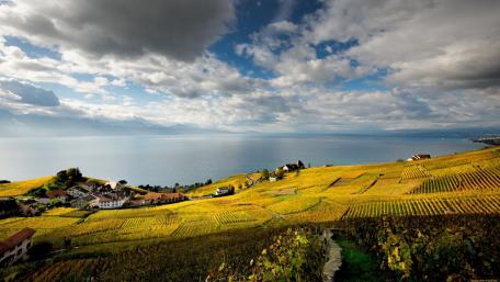 Serene Countryside by the Lake wallpaper