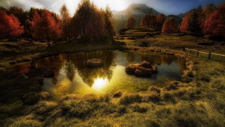 Autumn Serenity in Nature's Embrace wallpaper