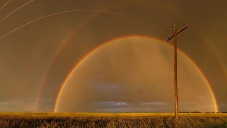 Vibrant Rainbow Over a Golden Field wallpaper