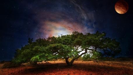 Celestial Night Under the Full Moon wallpaper
