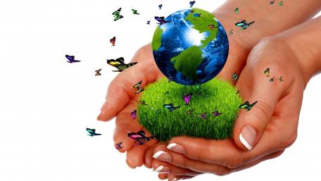 Caring for Our Planet with Butterflies wallpaper