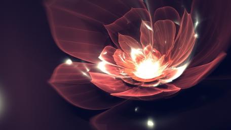 Radiant Blooming Essence wallpaper