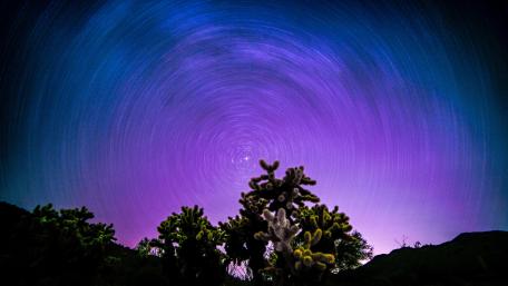 Starry Night Swirl Over Desert Landscape wallpaper