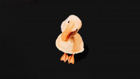 Duckling With Bowed Head wallpaper