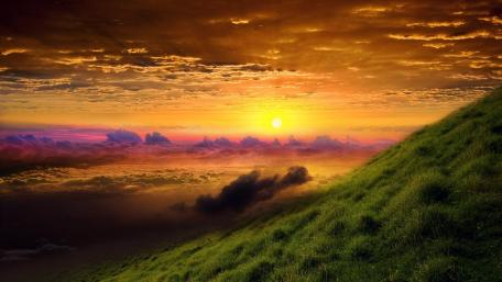Morning glory wallpaper