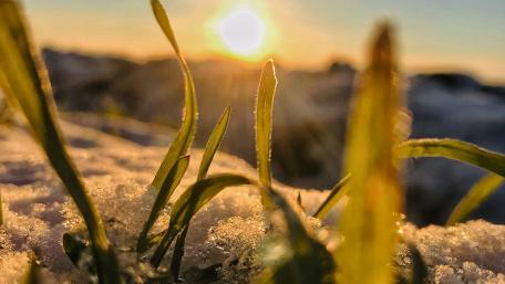Sunset in winter wallpaper