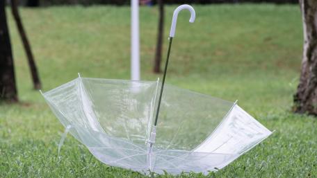 Transparent Umbrella on Green Grass Scene wallpaper