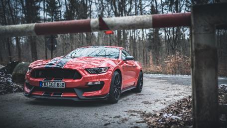 Ford Mustang Shelby GT350 wallpaper