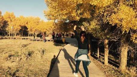 Joyful Moments Amidst Golden Trees in Nature wallpaper