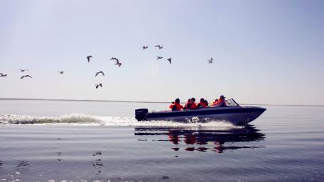 Serenity on the Waterway with Seabirds and a Boat Journey wallpaper