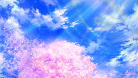 Cherry Blossoms under Clear Sky wallpaper