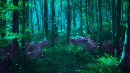 Enchanted Twilight in the Whispering Woods wallpaper