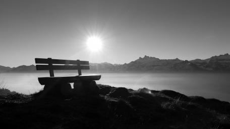 Serene Lakeside Bench in Monochrome Mood wallpaper