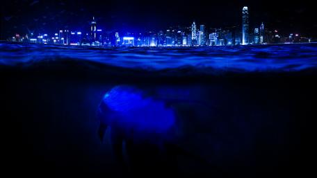 Mystical Depths Emerge in the City Nightscape wallpaper