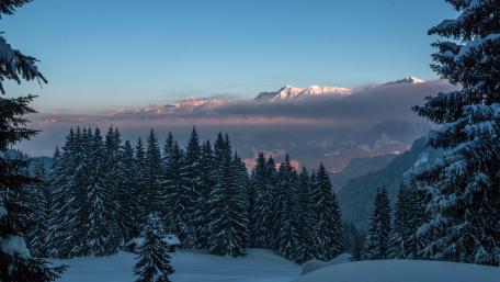Winter Wonderland Alpine Serenity wallpaper