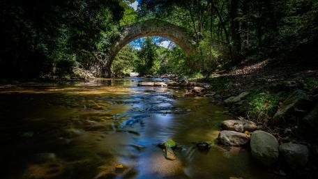 Stone Bridge Over Serene Forest River wallpaper