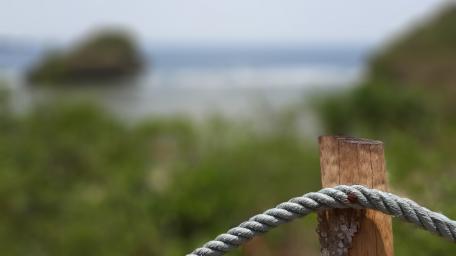 Wire Fence wallpaper