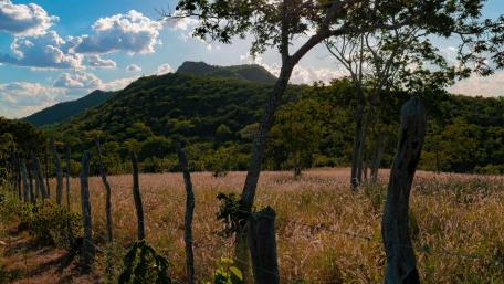 Serene Brazilian Mountain Landscape Wallpaper wallpaper