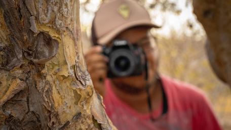 A Creative Photographer's Perspective on Nature wallpaper
