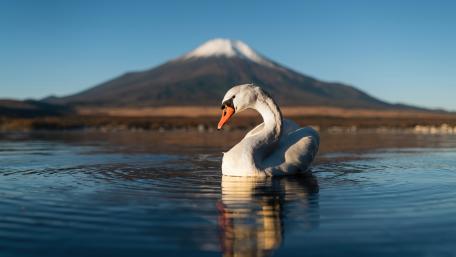 Mt. Fuji over Lake Yamanaka wallpaper