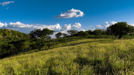 Serene Brazilian Landscape Under Blue Skies wallpaper