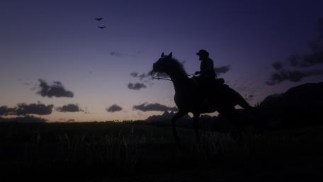 Horse in the sunset wallpaper