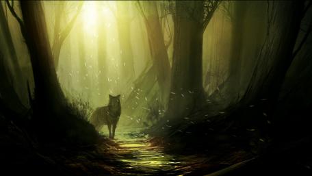 Mystical Wolf in Enchanted Forest wallpaper