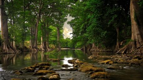 Tranquil Forest River Scene wallpaper