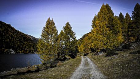 Serene River Path Through Majestic Mountains wallpaper