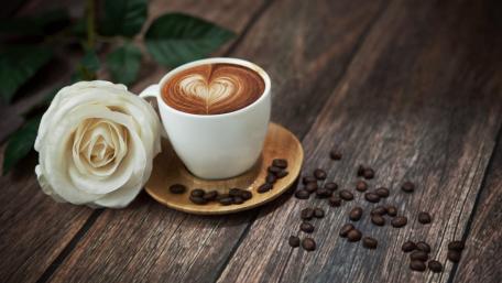 Elegant Coffee Moments with White Rose wallpaper