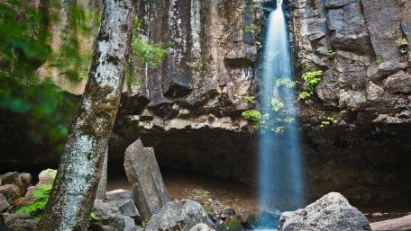 Serene Waterfall in Lush Wilderness wallpaper