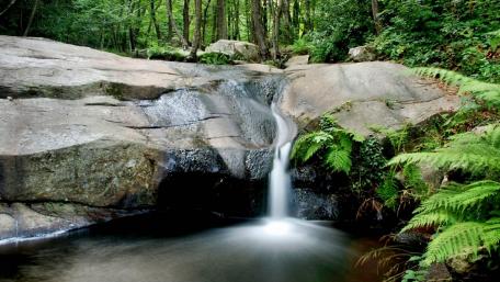 Serene Waterfall in Lush Forest Scene wallpaper