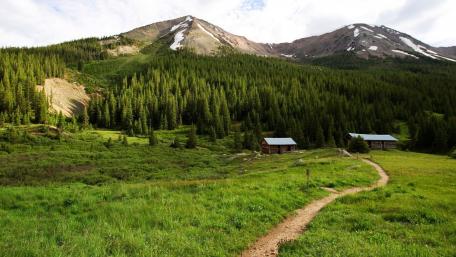 Serene Mountain Footpath Through Lush Greenery wallpaper