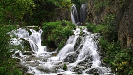 Spearfish wallpaper