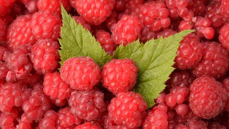 Raspberry wallpaper