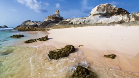 Tranquil Shoreline Escape wallpaper