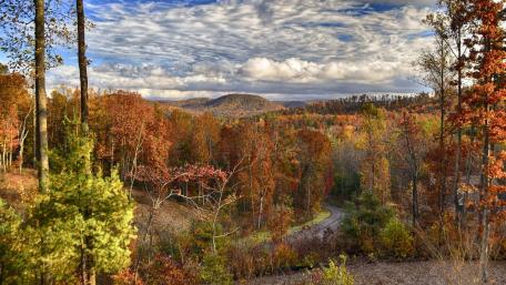 Autumn Serenity in Vibrant Colors wallpaper