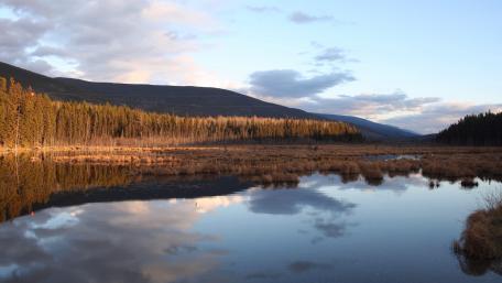 Serene Lake Reflections in Nature wallpaper