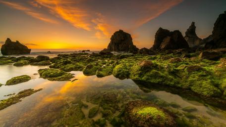 Sunset Serenity on a Rocky Shoreline wallpaper