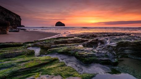 Serene Sunset Over Mossy Shoreline wallpaper