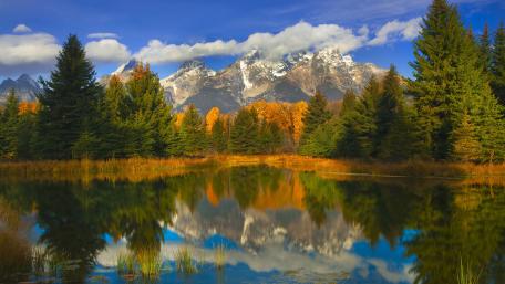 Grand Teton reflection wallpaper