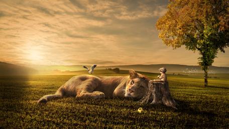Friendship wallpaper