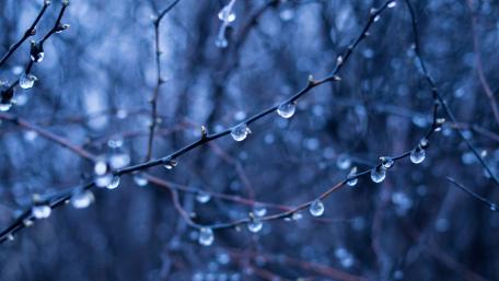 Freezing rain wallpaper