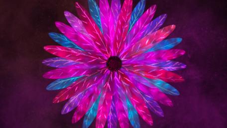 Vibrant Floral Fusion Wallpaper wallpaper