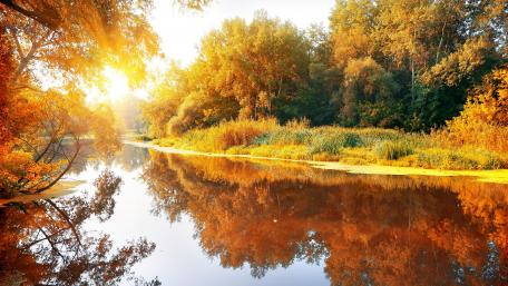 Natural Sun wallpaper
