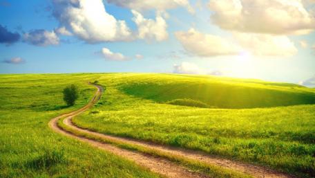 Serene Pathway Through Lush Green Hills wallpaper