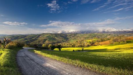 Serene Road Through Lush Green Landscapes wallpaper